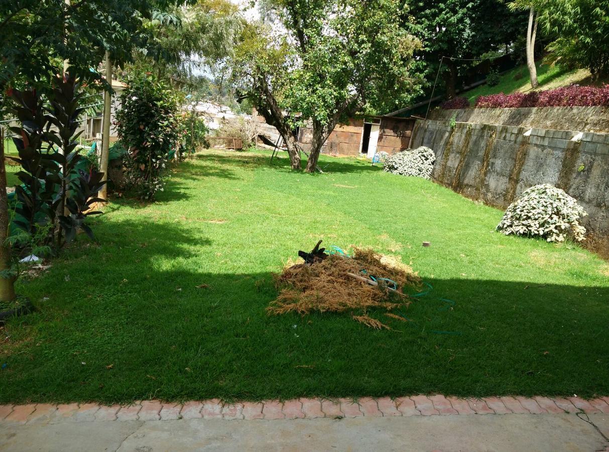 Celestial Resorts Kotagiri Luaran gambar